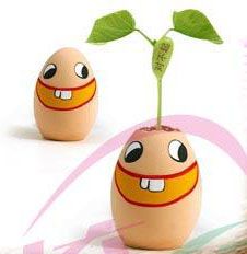 Wish Bean with Face Egg